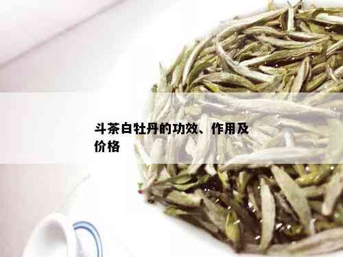 斗茶白牡丹的功效、作用及价格