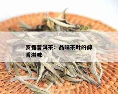 亥猪普洱茶：品味茶叶的醇香滋味