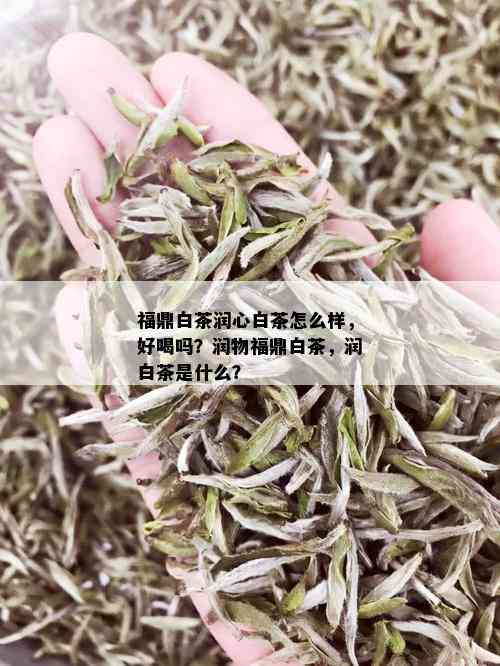 福鼎白茶润心白茶怎么样，好喝吗？润物福鼎白茶，润白茶是什么？