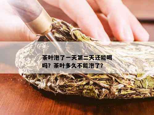 茶叶泡了一天第二天还能喝吗？茶叶多久不能泡了？