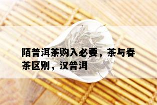 陌普洱茶购入必要，茶与春茶区别，汉普洱