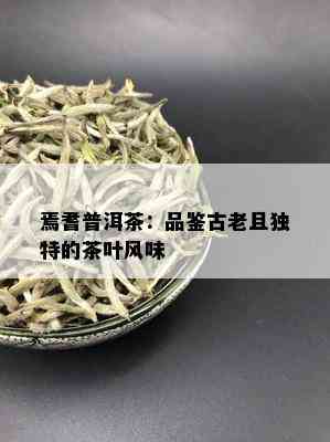 焉耆普洱茶：品鉴古老且独特的茶叶风味