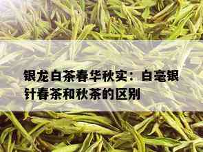 银龙白茶春华秋实：白毫银针春茶和秋茶的区别