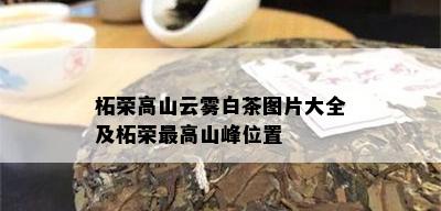 柘荣高山云雾白茶图片大全及柘荣更高山峰位置