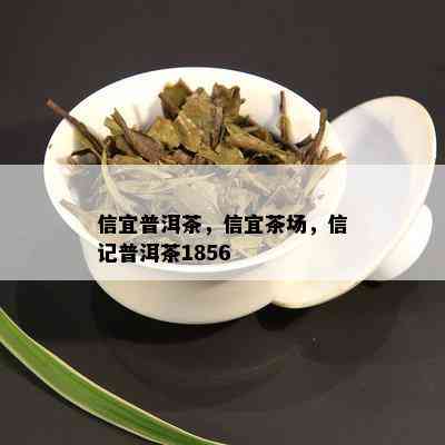 信宜普洱茶，信宜茶场，信记普洱茶1856