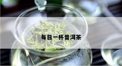 每日一杯普洱茶