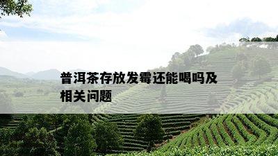 普洱茶存放发霉还能喝吗及相关问题