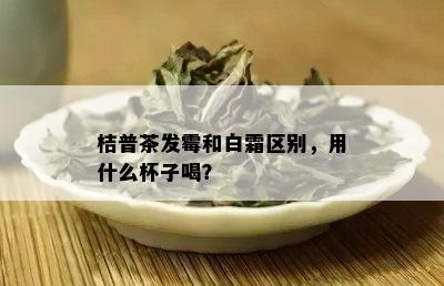 桔普茶发霉和白霜区别，用什么杯子喝？