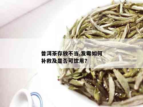 普洱茶存放不当,发霉如何补救及是否可饮用?