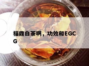 福鼎白茶啊，功效和EGCG