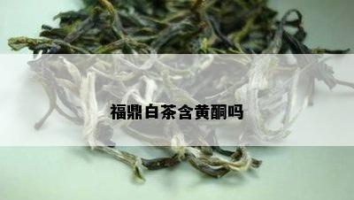 福鼎白茶含黄酮吗