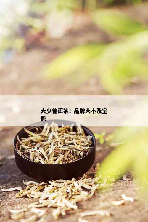 大少普洱茶：品牌大小及室魁