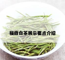 福鼎白茶展示要点介绍