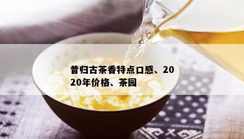 昔归古茶香特点口感、2020年价格、茶园