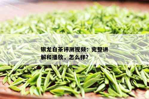 银龙白茶评测视频：完整讲解和播放，怎么样？