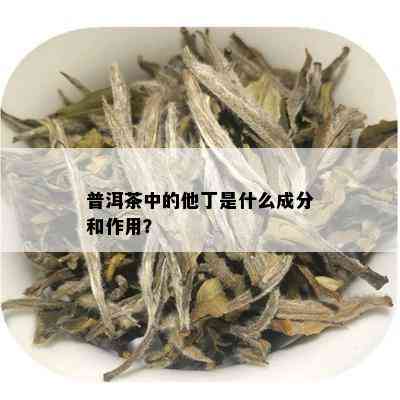 普洱茶中的他丁是什么成分和作用？