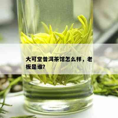 大可堂普洱茶馆怎么样，老板是谁？