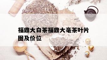 福鼎大白茶福鼎大毫茶叶片图及价位