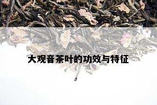 大观音茶叶的功效与特征