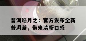 普洱皓月之：官方发布全新普洱茶，带来清新口感