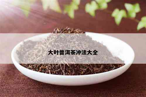 大叶普洱茶冲法大全