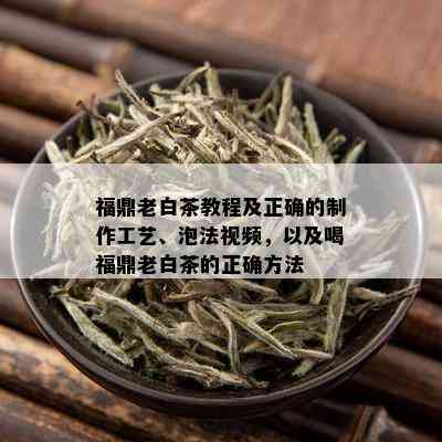 福鼎老白茶教程及正确的制作工艺、泡法视频，以及喝福鼎老白茶的正确方法