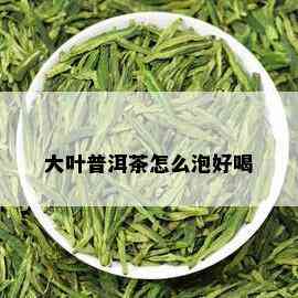 大叶普洱茶怎么泡好喝