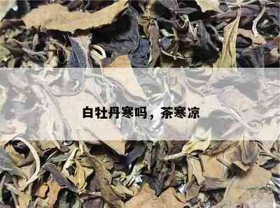 白牡丹寒吗，茶寒凉