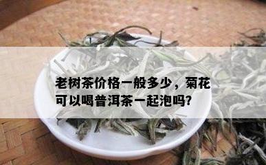 老树茶价格一般多少，菊花可以喝普洱茶一起泡吗？