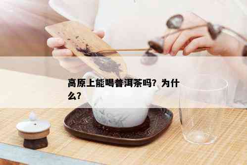 高原上能喝普洱茶吗？为什么？