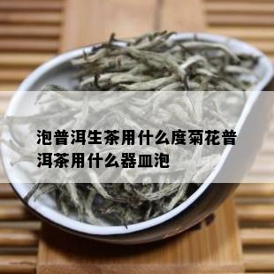 泡普洱生茶用什么度菊花普洱茶用什么器皿泡