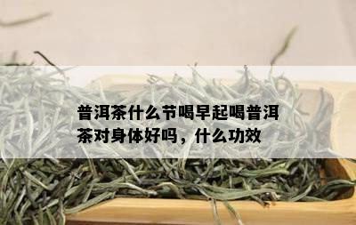 普洱茶什么节喝早起喝普洱茶对身体好吗，什么功效