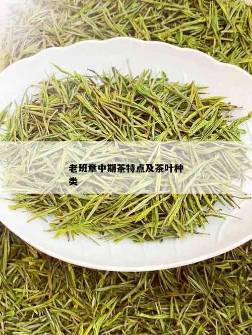 老班章中期茶特点及茶叶种类