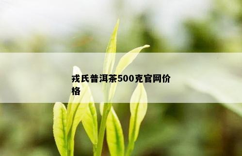 戎氏普洱茶500克官网价格