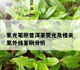 紫光笔照普洱茶荧光及相关紫外线鉴别分析