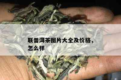 联普洱茶图片大全及价格，怎么样