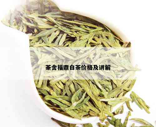 茶舍福鼎白茶价格及讲解