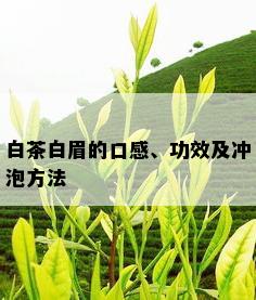 白茶白眉的口感、功效及冲泡方法