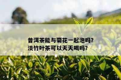 普洱茶能与菊花一起泡吗？淡竹叶茶可以天天喝吗？