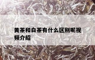 黄茶和白茶有什么区别呢视频介绍