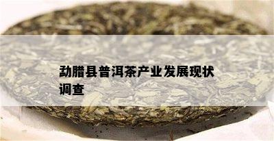 勐腊县普洱茶产业发展现状调查