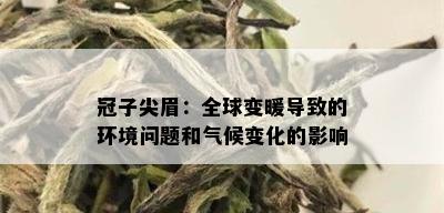 冠子尖眉：全球变暖导致的环境问题和气候变化的影响