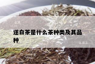 遂白茶是什么茶种类及其品种