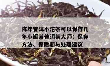 陈年普洱小沱茶可以保存几年小罐茶普洱茶大师：保存方法、保质期与处理建议