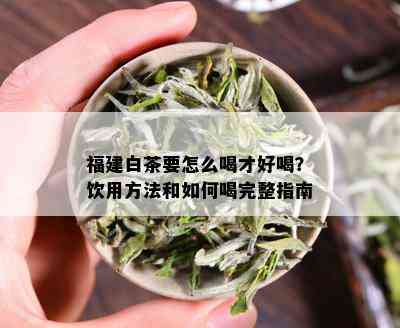 福建白茶要怎么喝才好喝？饮用方法和如何喝完整指南