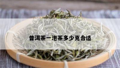 普洱茶一泡茶多少克合适