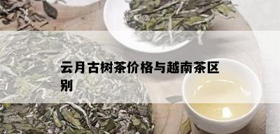 云月古树茶价格与越南茶区别