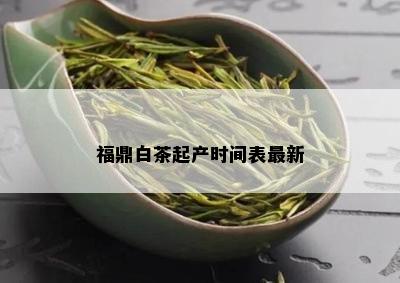 福鼎白茶起产时间表最新