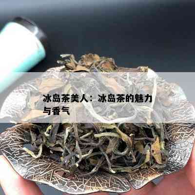 冰岛茶美人：冰岛茶的魅力与香气