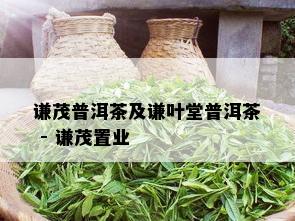 谦茂普洱茶及谦叶堂普洱茶 - 谦茂置业